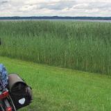 1107G 030 Bodensee Radweg